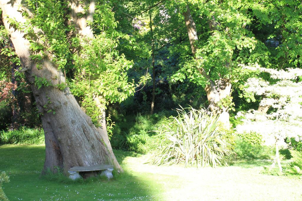 The Woodlands Hotell Ilfracombe Eksteriør bilde